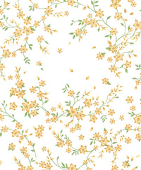 Sage Botanical